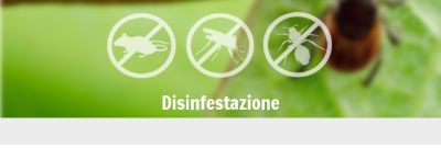 disinfestazione