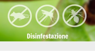 disinfestazione